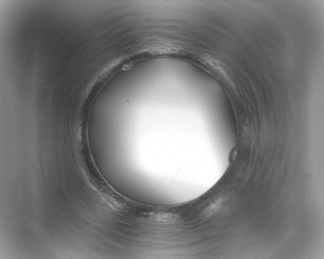 X0000069810539200606091837