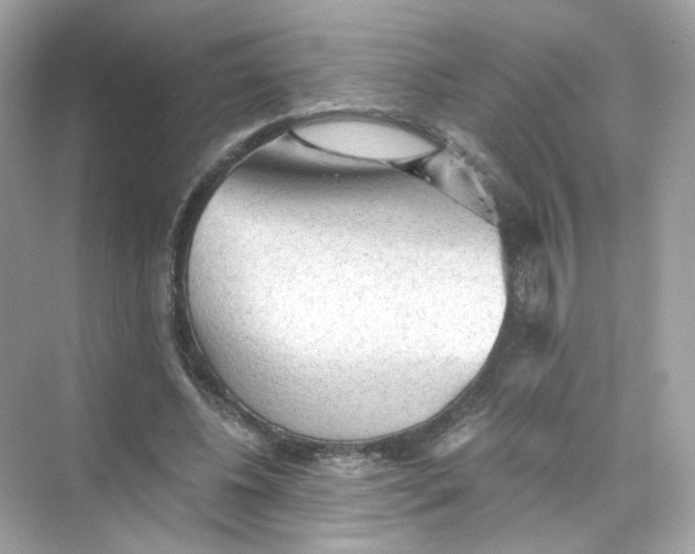 X0000069810540200606091837