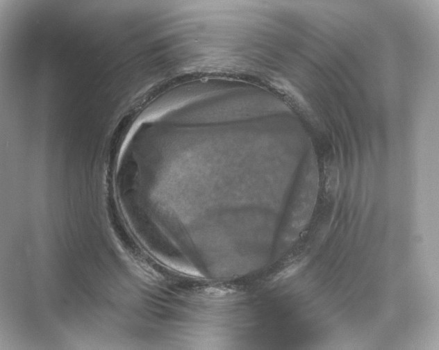 X0000069810542200606091837