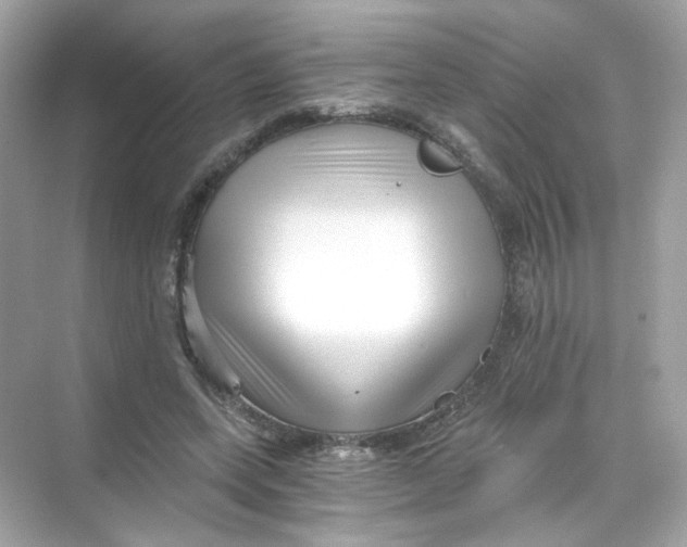 X0000069810543200606091837