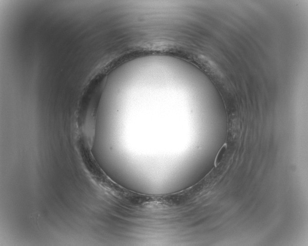 X0000069810544200606091837