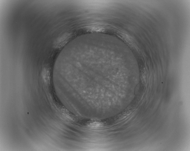 X0000069810551200606091838