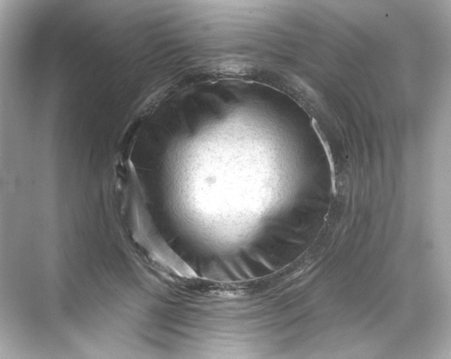 X0000069810552200606091838