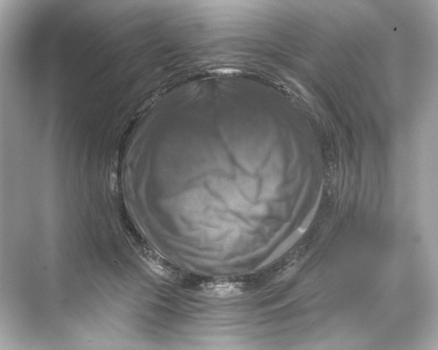 X0000069810553200606091838