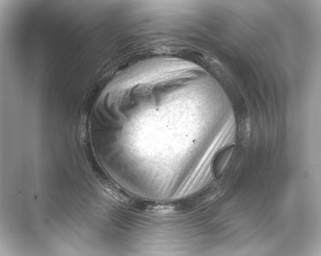 X0000069810554200606091838