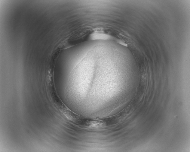 X0000069810555200606091838