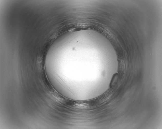 X0000069810557200606091838