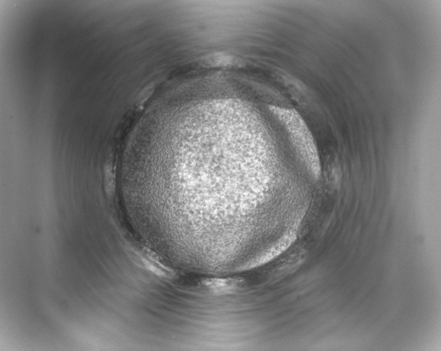 X0000069810558200606091838