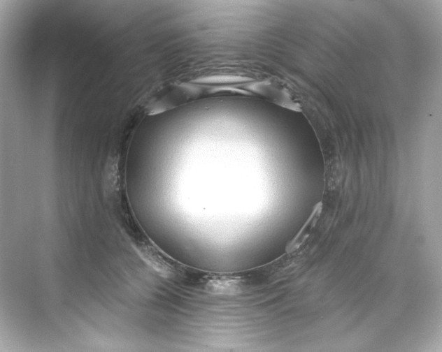 X0000069810560200606091838