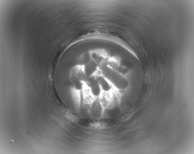 X0000069810561200606091838