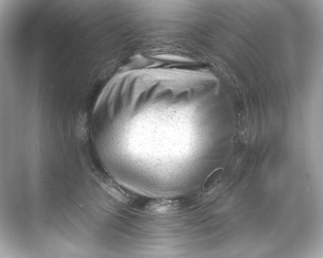 X0000069810563200606091838