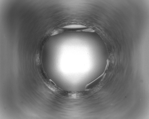 X0000069810564200606091838