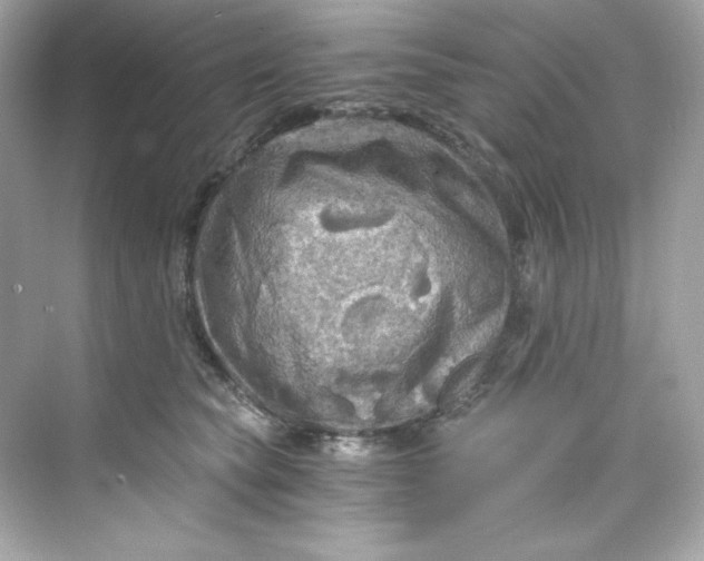 X0000069810565200606091838