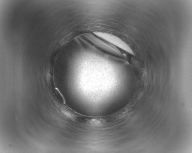 X0000069810566200606091838