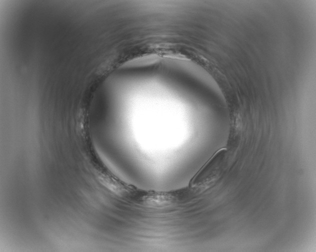 X0000069810567200606091838