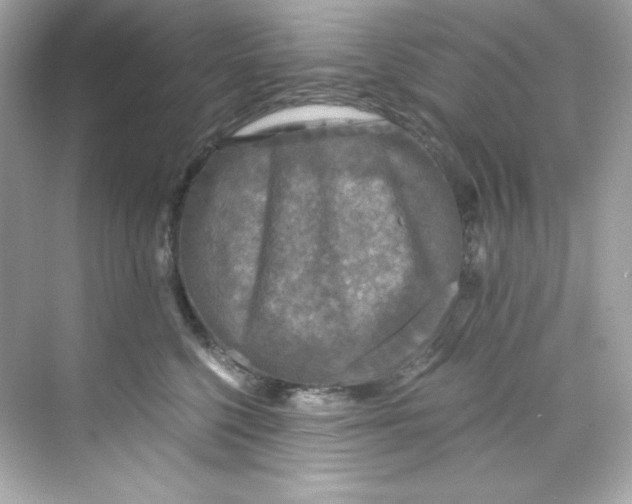 X0000069810568200606091838