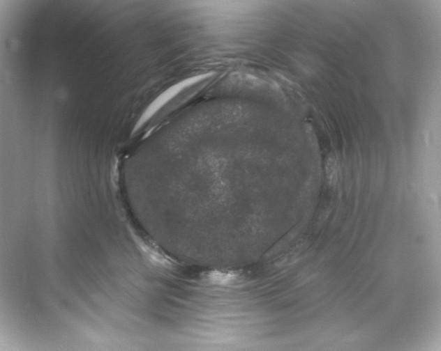 X0000069810570200606091838