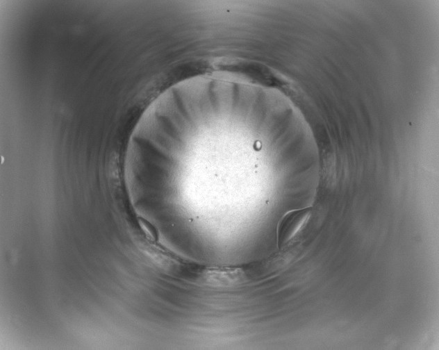 X0000069810571200606091838