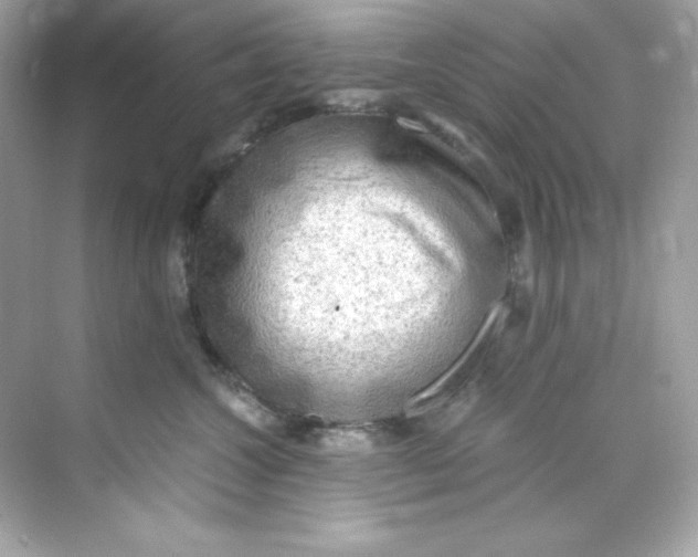 X0000069810572200606091838