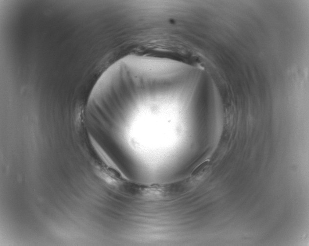 X0000069810574200606091838