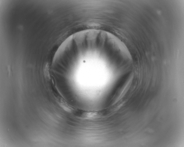 X0000069810575200606091838