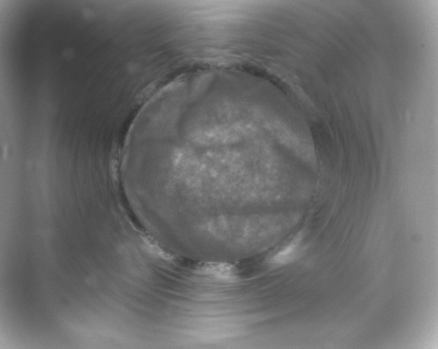 X0000069810576200606091838