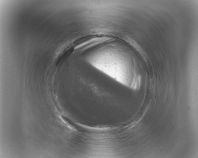 X0000069810577200606091837