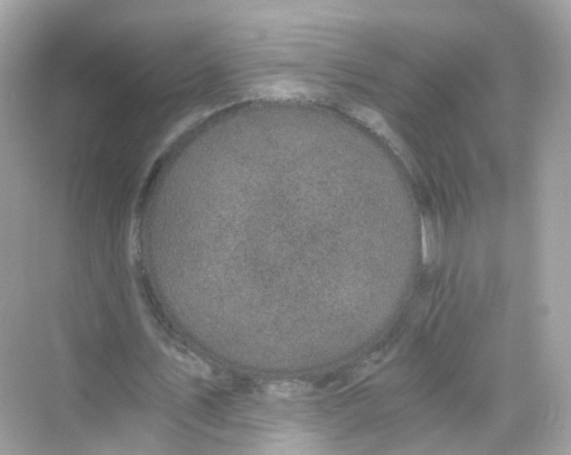 X0000069810579200606091837