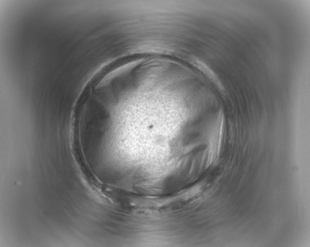 X0000069810580200606091837