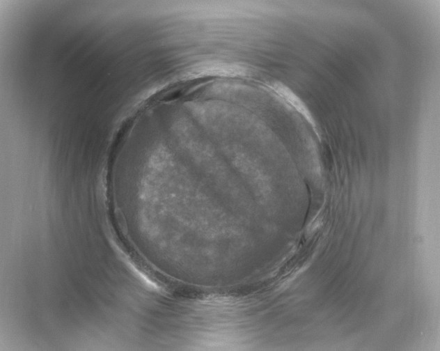 X0000069810581200606091837