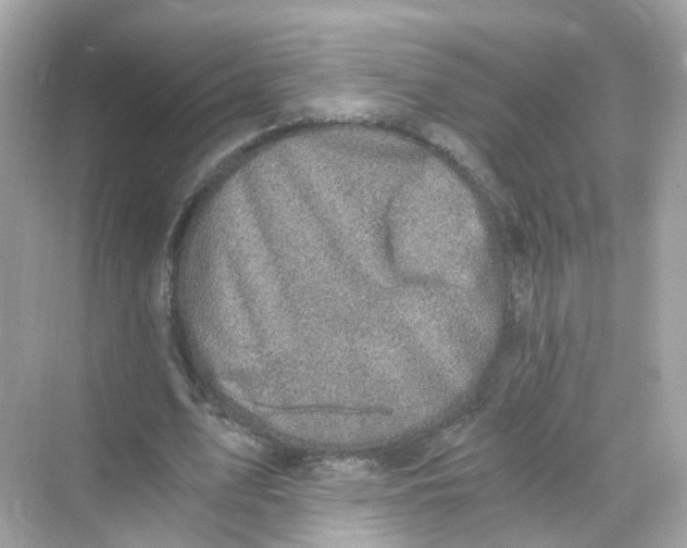 X0000069810583200606091837