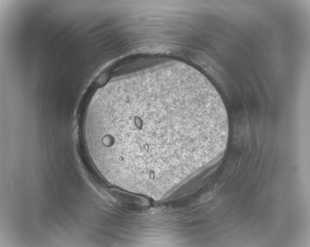 X0000069810584200606091837