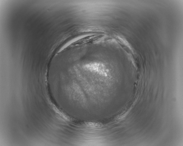 X0000069810585200606091837