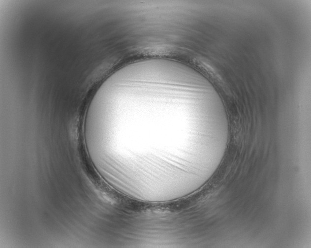 X0000069810586200606091837