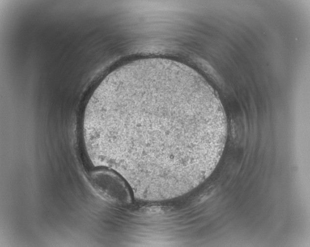 X0000069810588200606091837