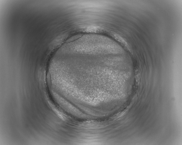 X0000069810589200606091837