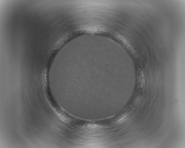 X0000069810590200606091837