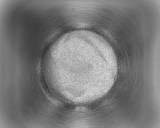 X0000069810591200606091837