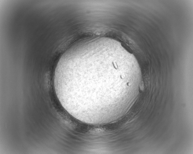 X0000069810594200606091837