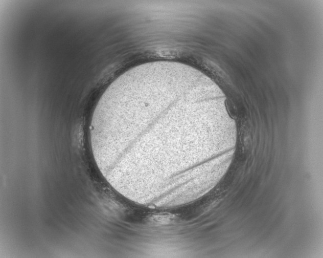 X0000069810595200606091837