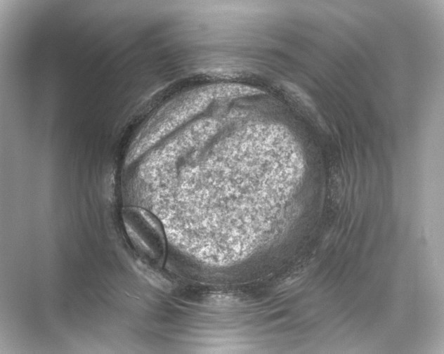 X0000069810596200606091837