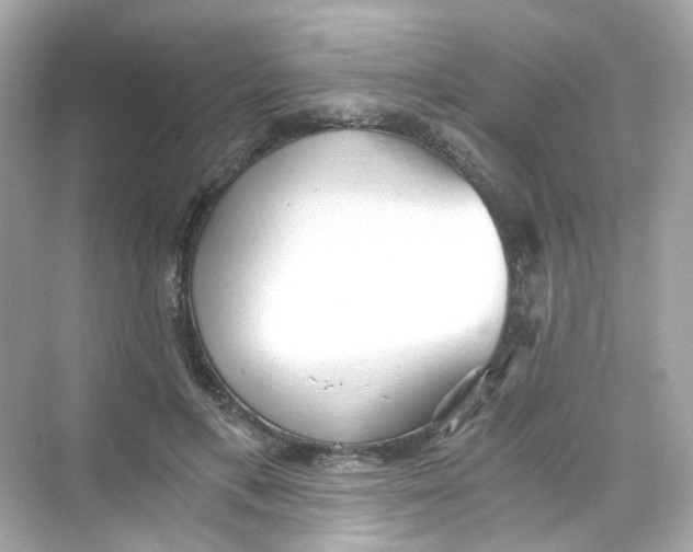 X0000069810597200606091837