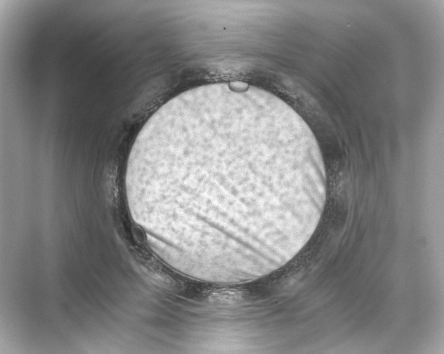 X0000069810599200606091837