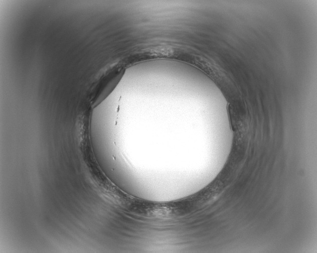 X0000069810600200606091837