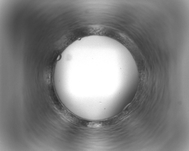 X0000069810602200606091837