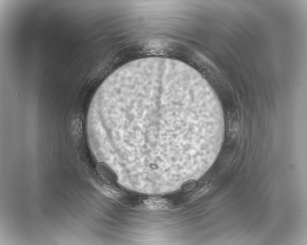 X0000069810603200606091837