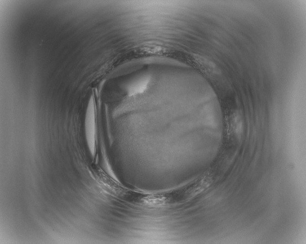 X0000069810606200606091837