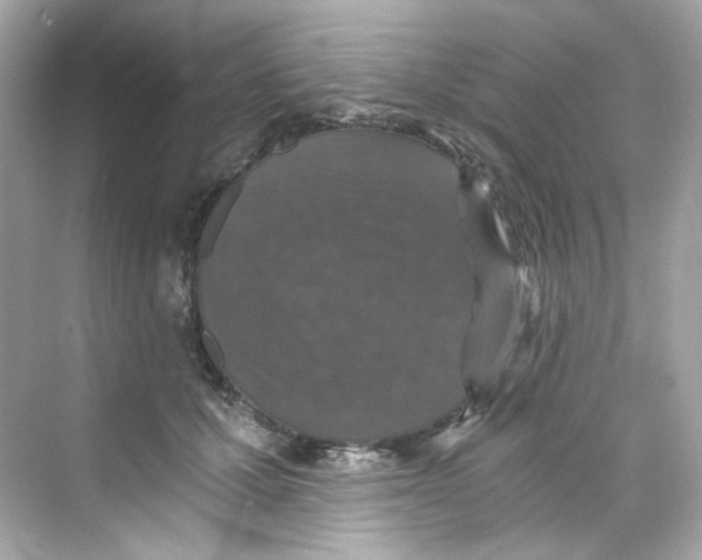 X0000069810607200606091837