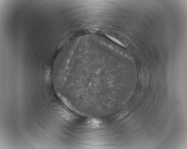 X0000069810610200606091837