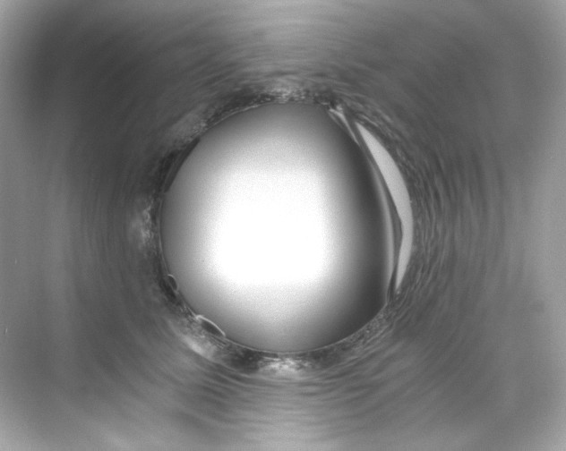 X0000069810611200606091837